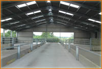 RNH Construction - Steel Framed Equestrian Buildings