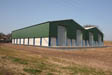 Steel Framed Grain Store Buildings
